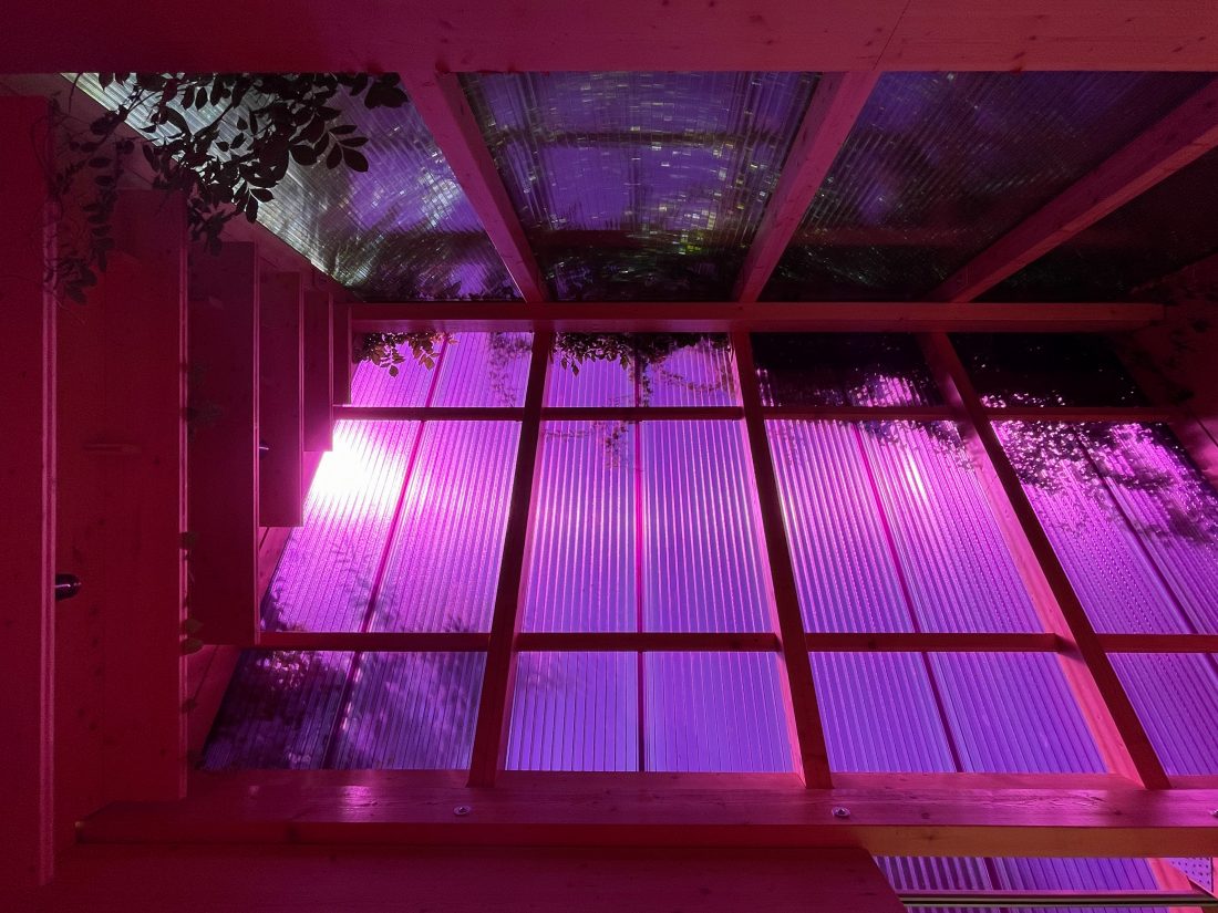 Tea House for Peggy Gou by Sigurd Larsen design and Architecture Berlin follie pavilion pink roof_42