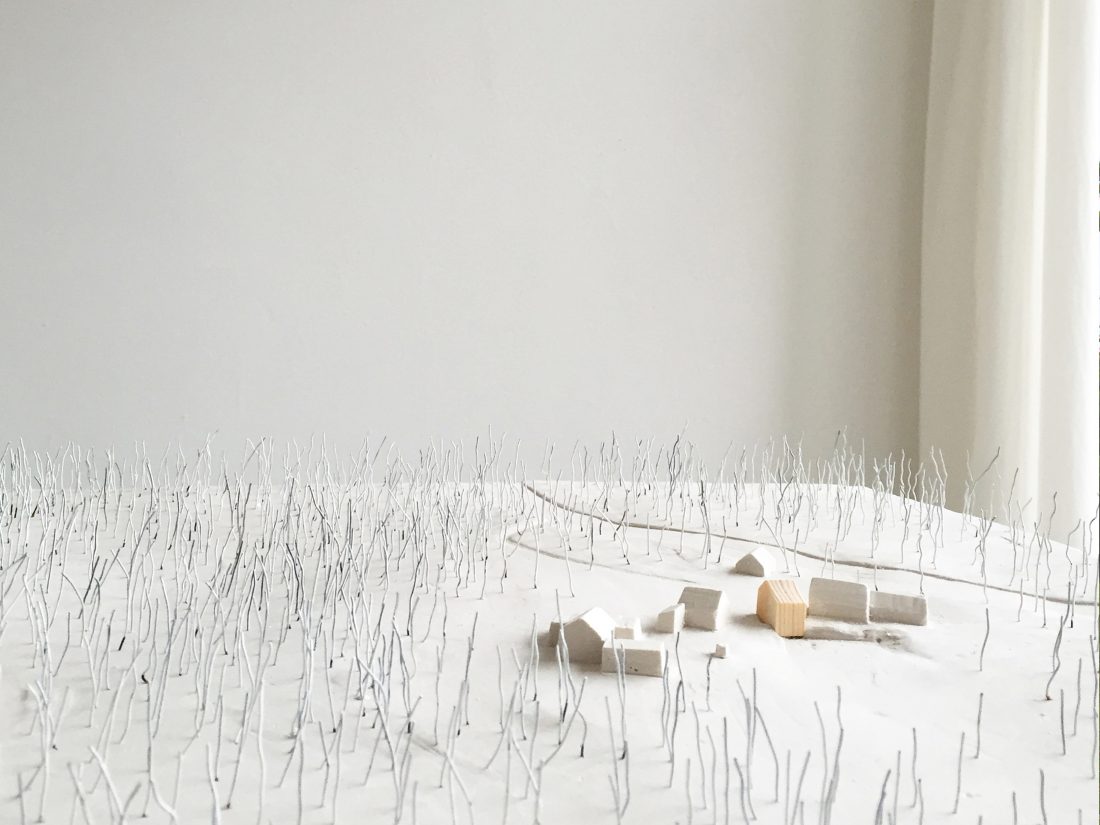 Sigurd Larsen_Barn House New York_Architecture Wood Facade Danish Design 0