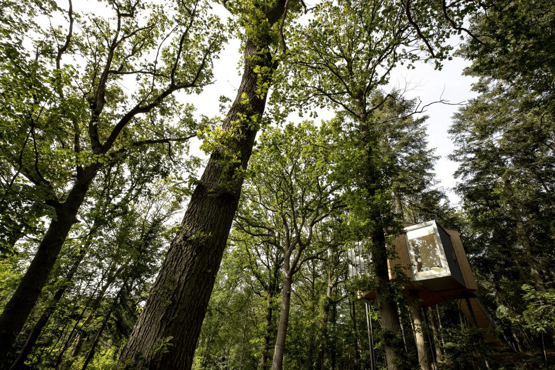 LOVTAG treetop cabins Denmark skov hotel friluft wood forest nature tourism_architecture Sigurd Larsen_Photo credits Soeren Larsen 25