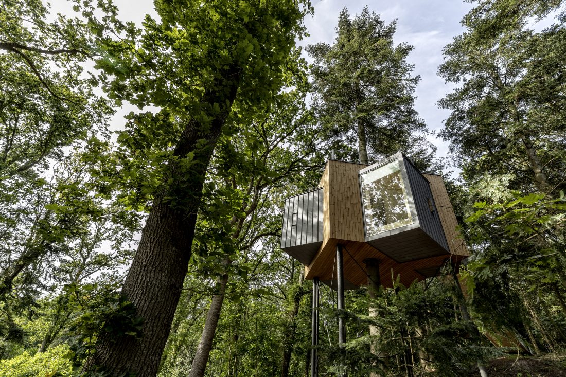 LOVTAG treetop cabins Denmark skov hotel friluft wood forest nature tourism_architecture Sigurd Larsen_Photo credits Soeren Larsen 30