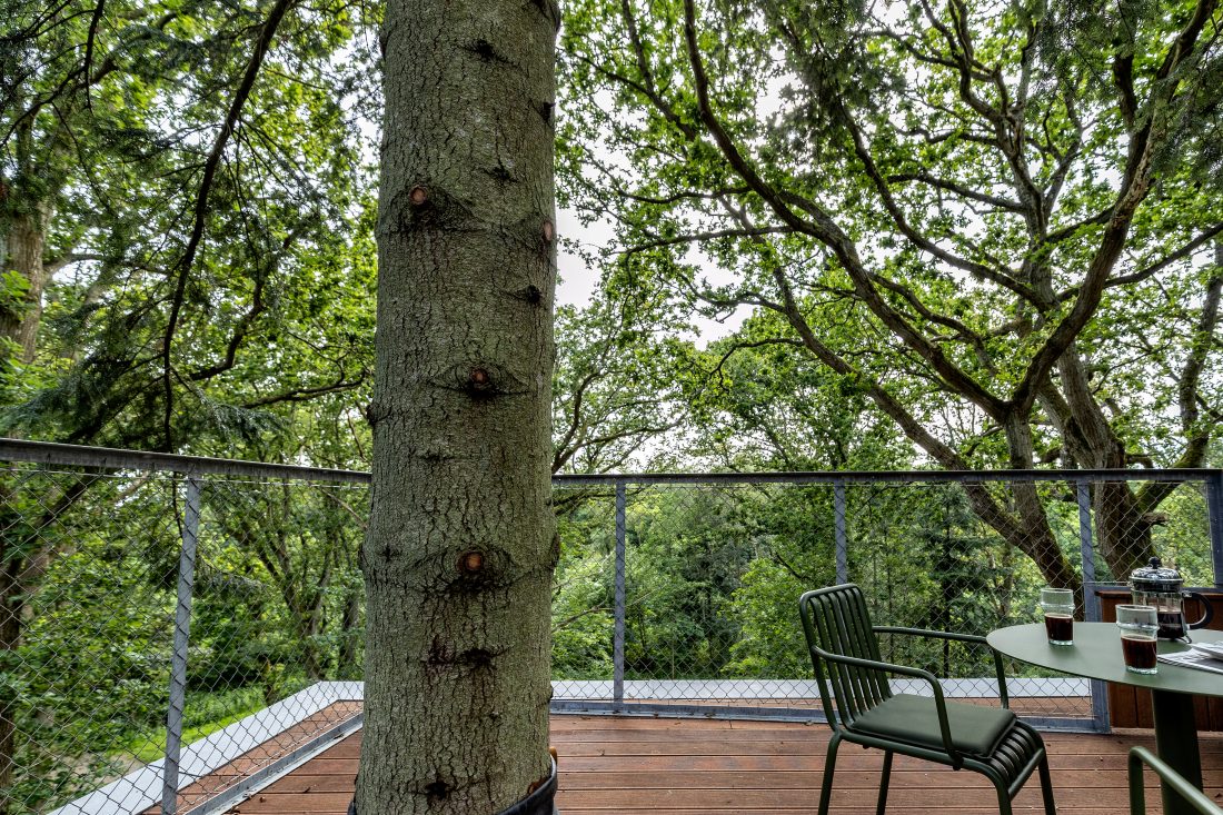 LOVTAG treetop cabins Denmark skov hotel friluft wood forest nature tourism_architecture Sigurd Larsen_Photo credits Soeren Larsen 40