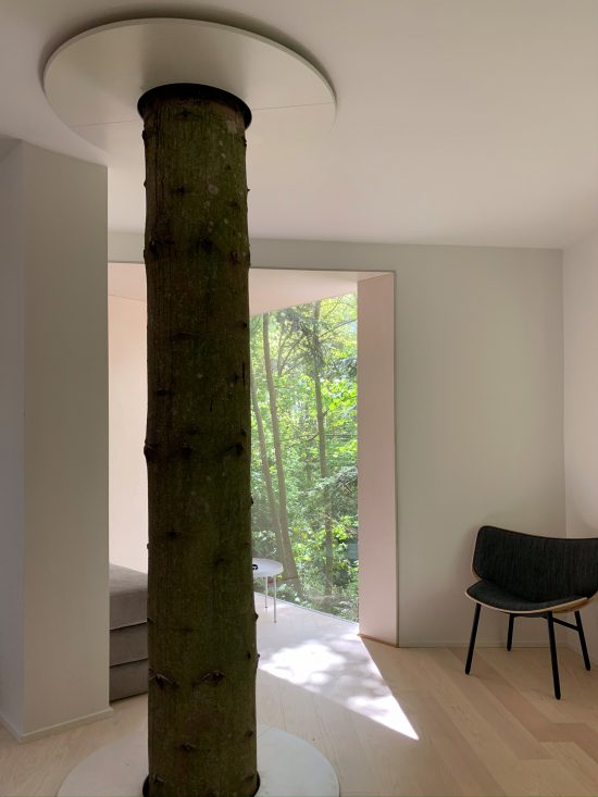 LOVTAG treetop cabins Denmark skov hotel wood forest nature tourism_architecture Sigurd Larsen_Photo credits Herbert Hofmann 5