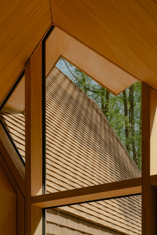The Lake House_ Berlin Sigurd Larsen wood design architecture ziegelfassade Holzbau_41