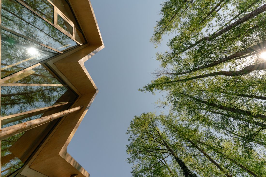 The Lake House_ Berlin Sigurd Larsen wood design architecture ziegelfassade Holzbau_7