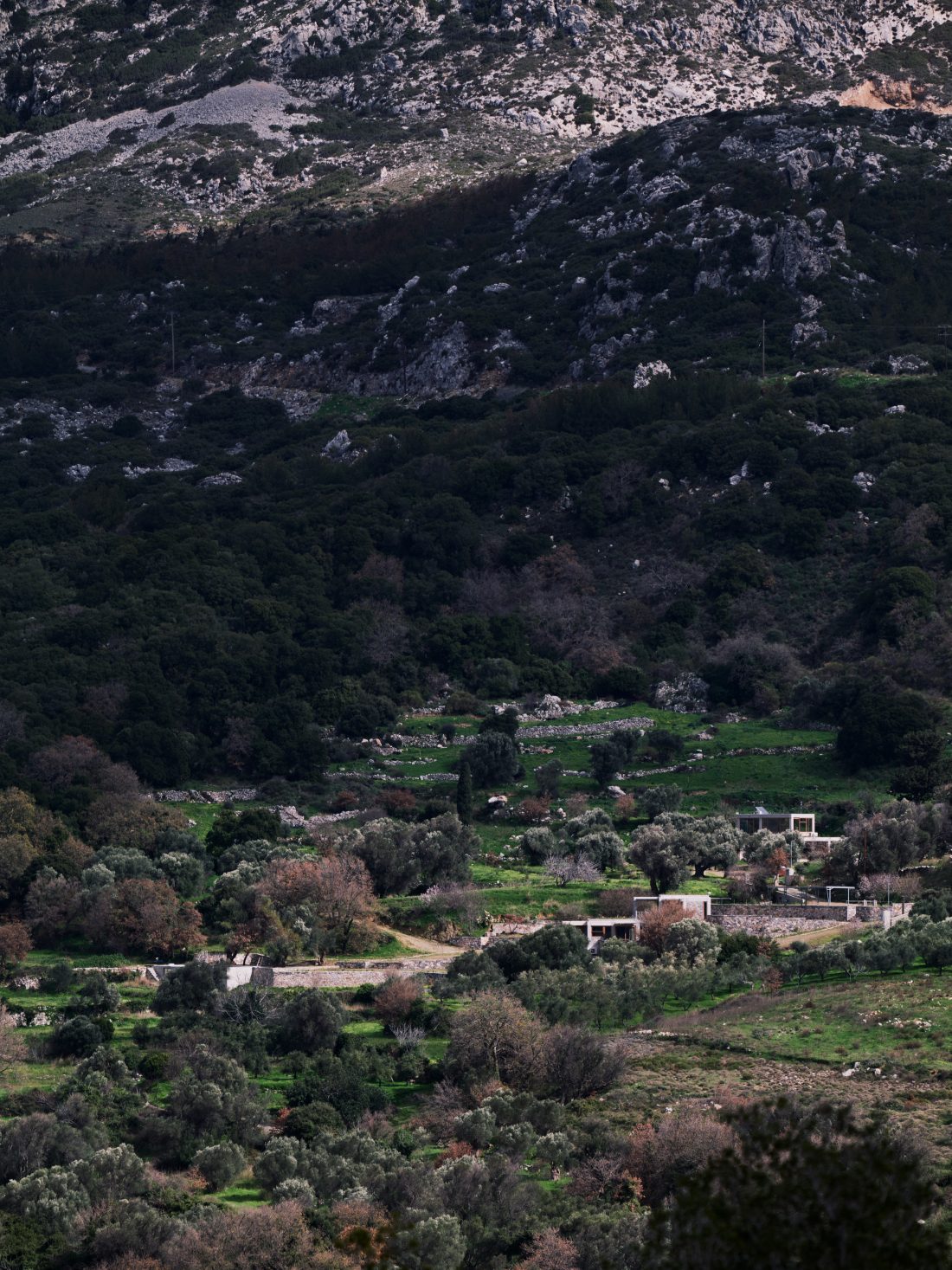 Meraki Studios