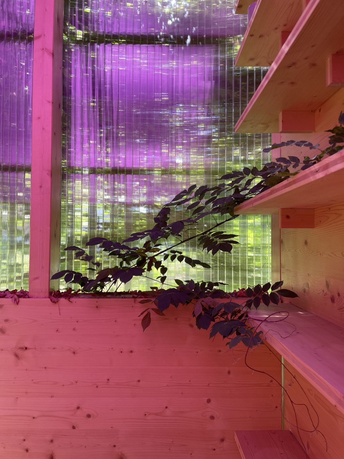 Tea House for Peggy Gou by Sigurd Larsen design and Architecture Berlin follie pavilion pink roof_15