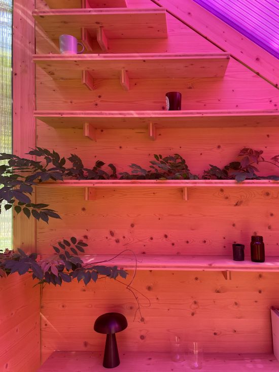 Tea House for Peggy Gou by Sigurd Larsen design and Architecture Berlin follie pavilion pink roof_17