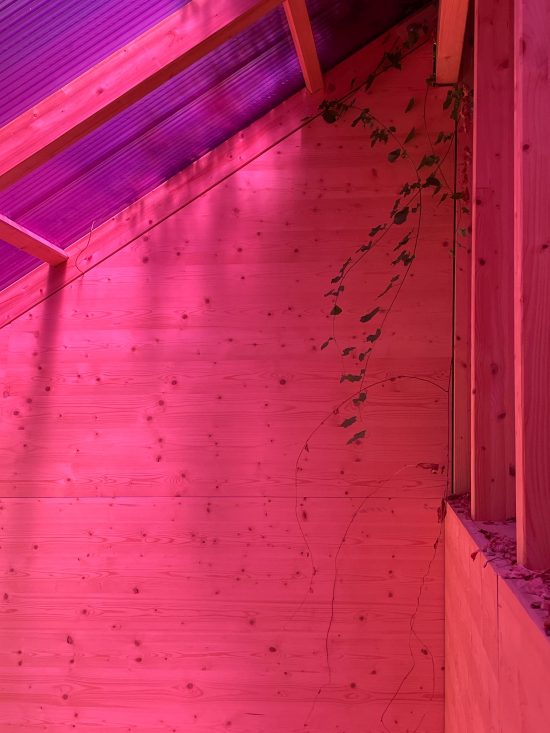 Tea House for Peggy Gou by Sigurd Larsen design and Architecture Berlin follie pavilion pink roof_32