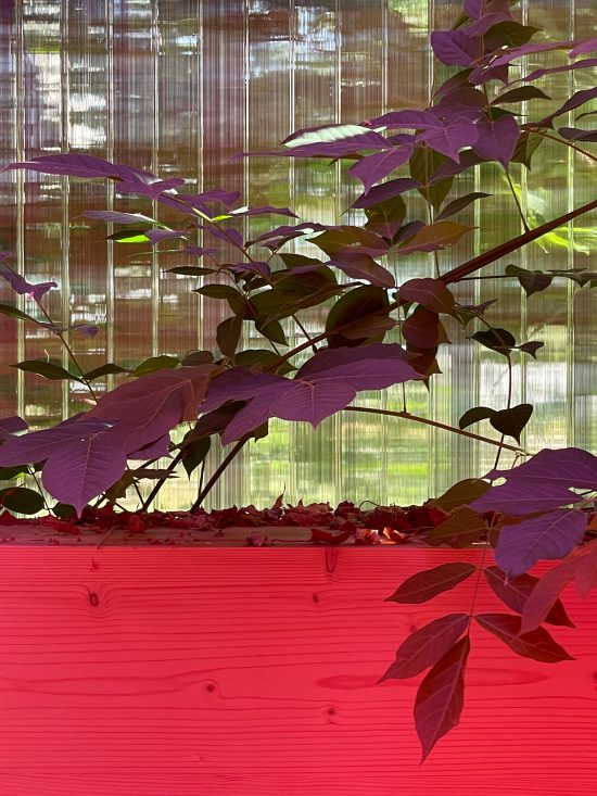 Tea House for Peggy Gou by Sigurd Larsen design and Architecture Berlin follie pavilion pink roof_36